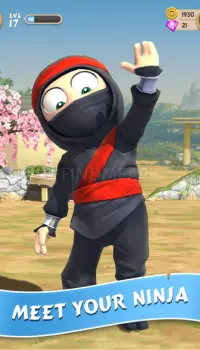 Meet Your Ninja